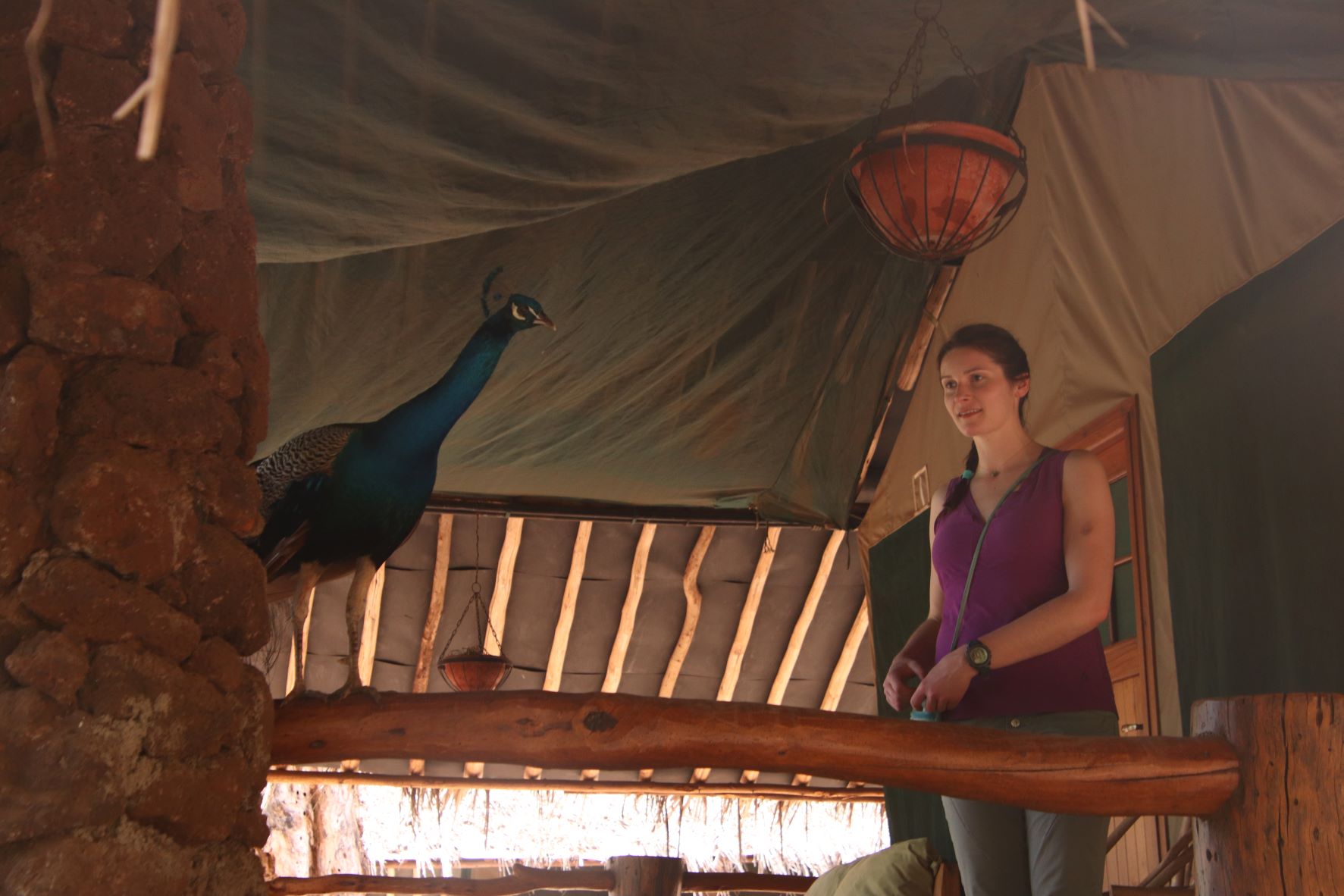 Eye Doctor Homer Dr. Andrew Peter Homer Eyecare Who We Are